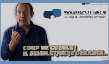 coup_de_gueule_mandataire_immobilier