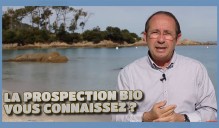 immobilier_prospection