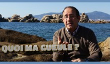 coaching formation immobilier