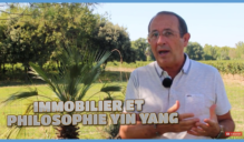 Immobilier Yin Yang