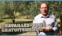 Mandataire-immo-gratutement