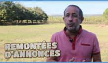 remontees d'annonces