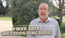 voeux 2019 methode ringarde