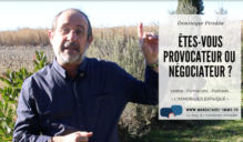 provocateur negociateur immobilier