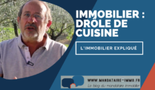 IMMOBILIER DROLE DE CUISINE